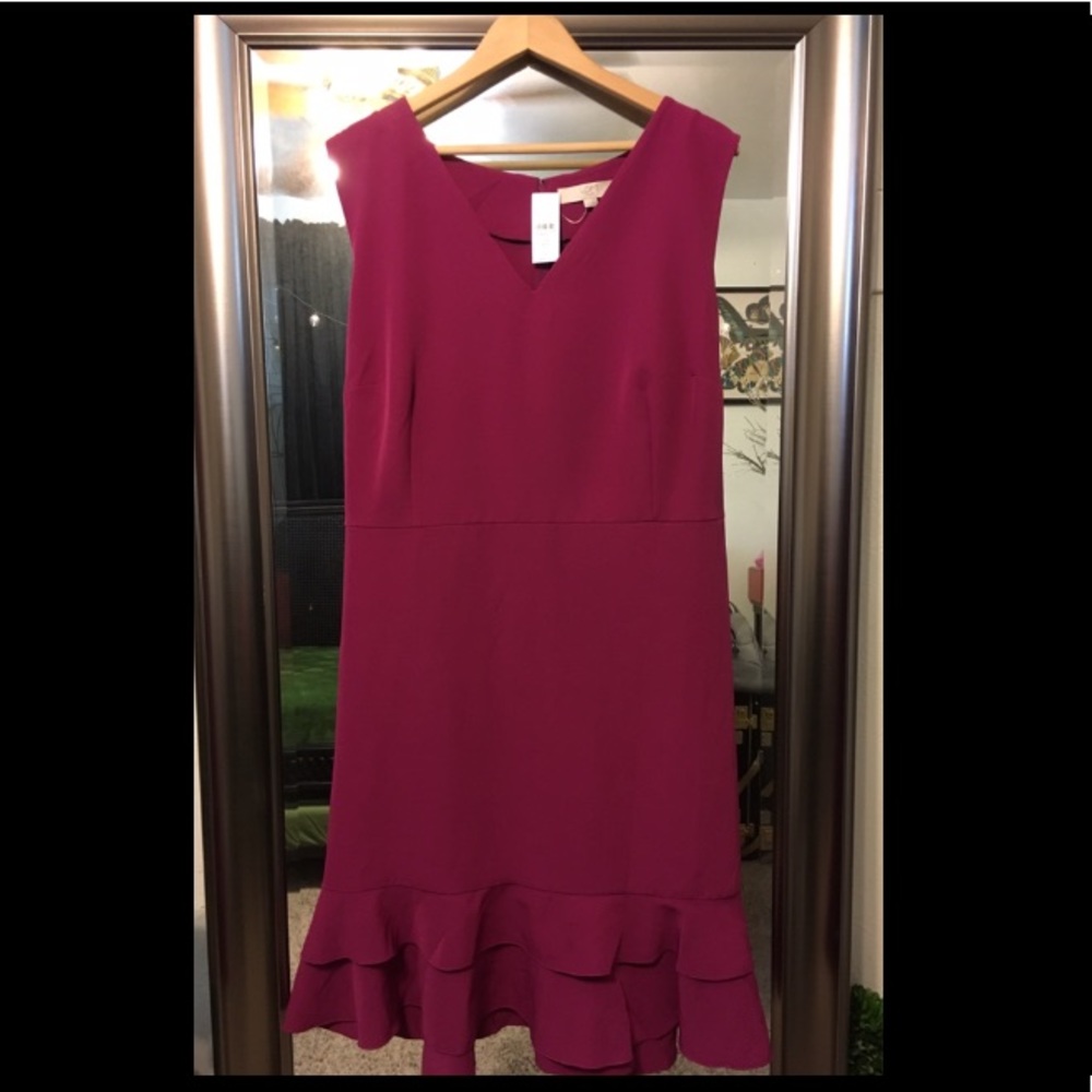 fuchsia loft plus dress